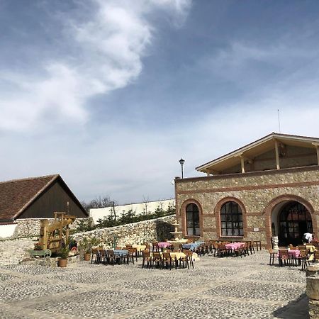 Conacul Maria Theresa Orlat Exterior photo