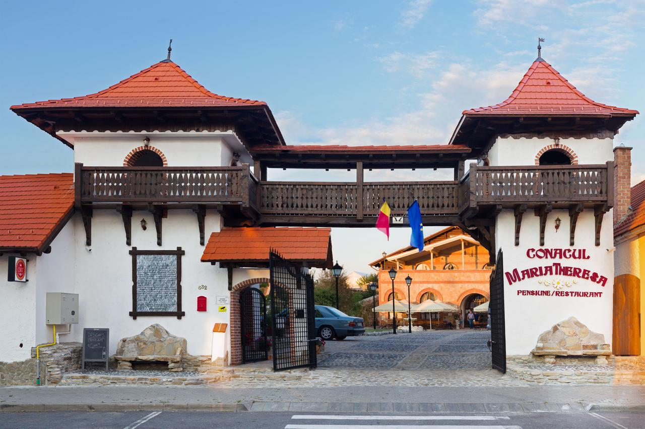 Conacul Maria Theresa Orlat Exterior photo